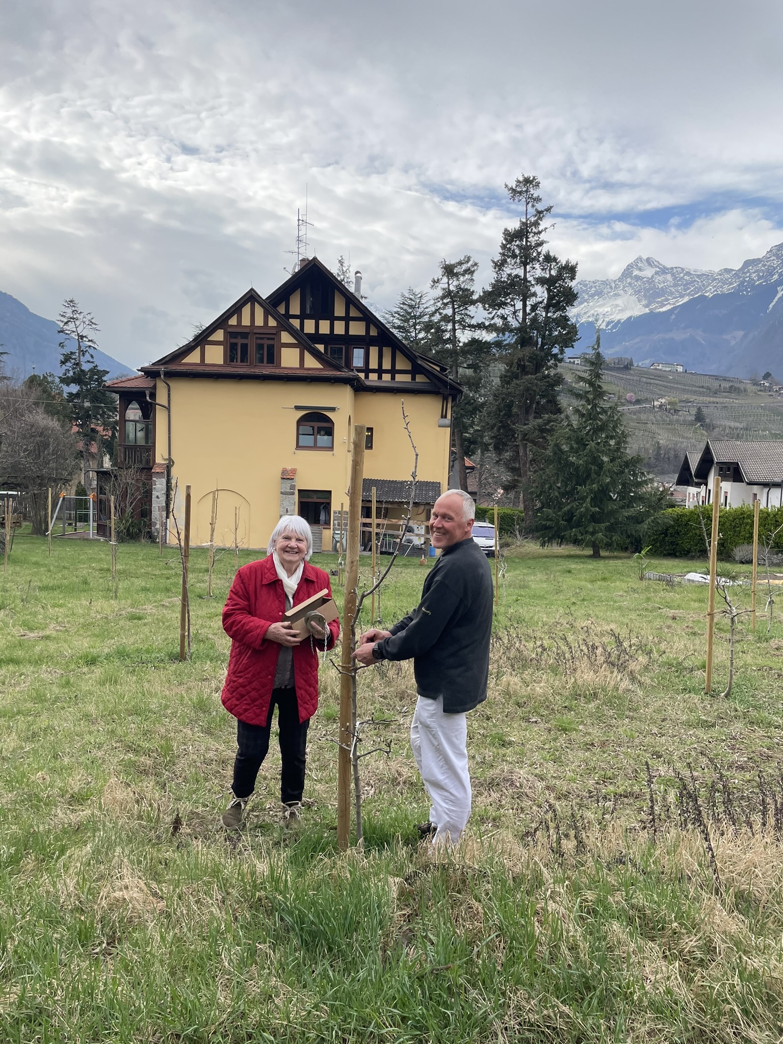 Pflanzung Alte Reben